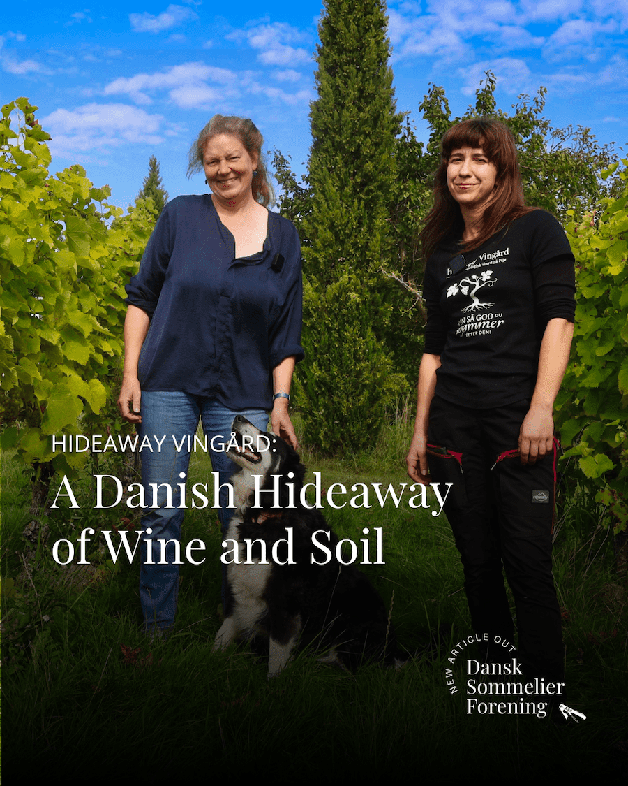 Dansk Sommelier Forening om Hideaway Vingård
